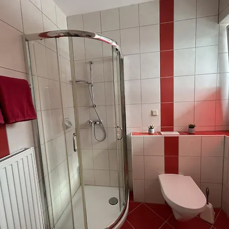Haus Alpina Ski In & Ski Out Schladming Extérieur photo