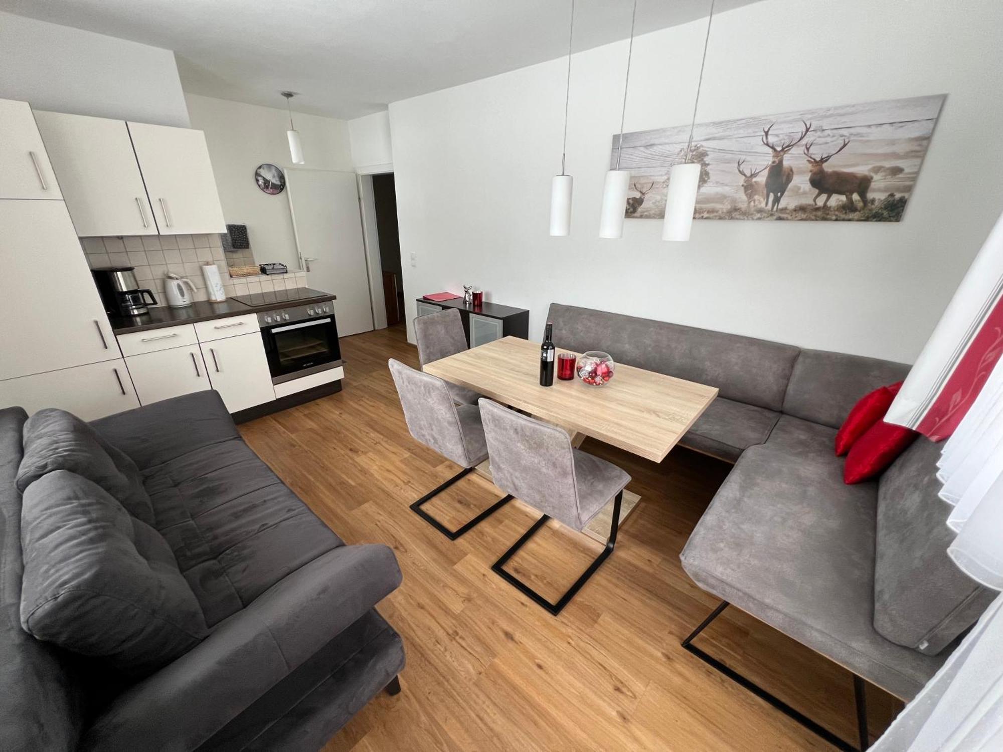 Hébergement de vacances Haus Alpina In & Out *