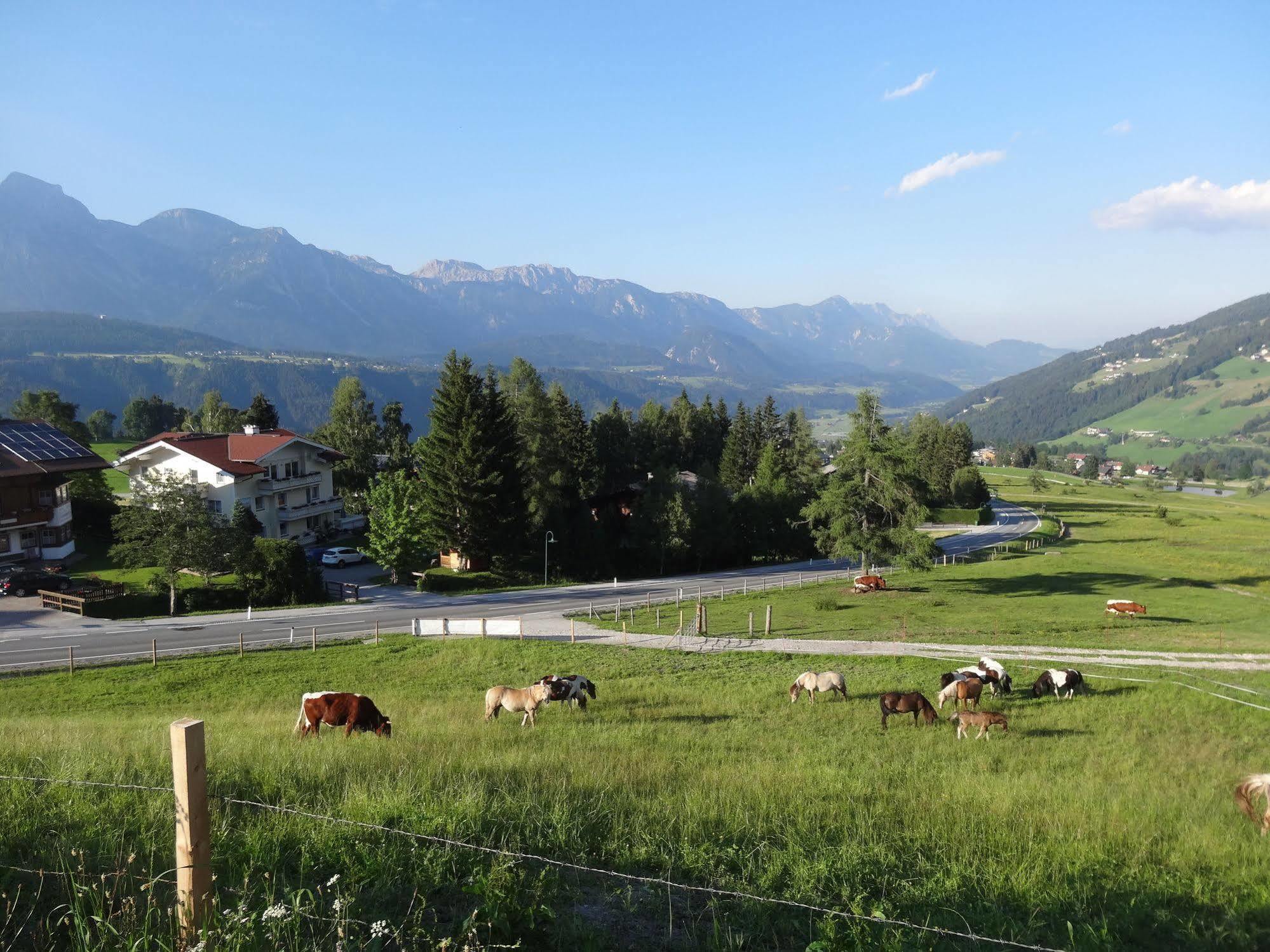 Hébergement de vacances Haus Alpina In & Out Schladming