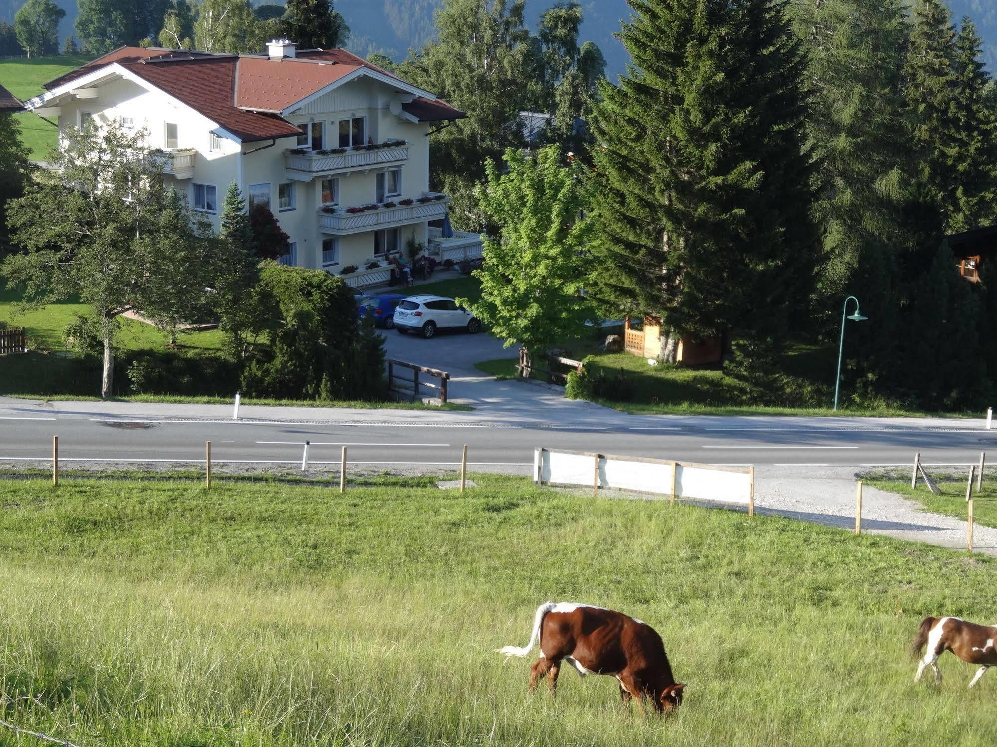 Hébergement de vacances Haus Alpina In & Out Schladming